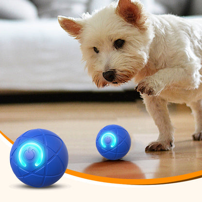 Interaktivní hračka pro psy