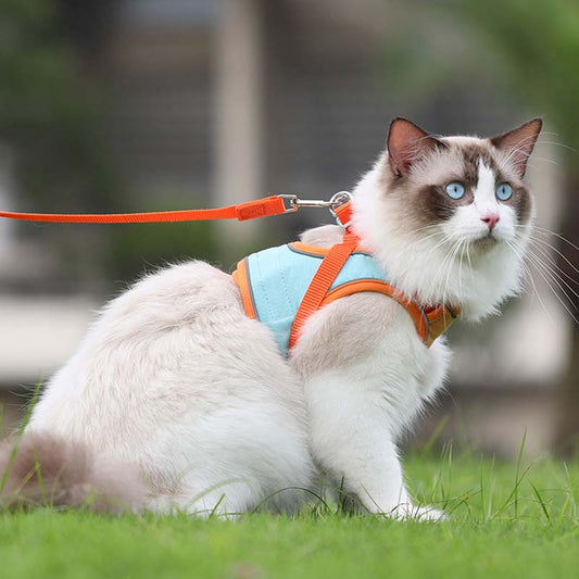 🐈Reflexní postroj pro kočky s vodítkem, zabraňující útěku