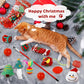 🎄🎁2025 Vánoční adventní kalendář s hračkami pro kočky a psy🐾🥳
