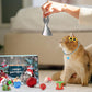 🎄🎁2025 Vánoční adventní kalendář s hračkami pro kočky a psy🐾🥳