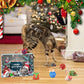 🎄🎁2025 Vánoční adventní kalendář s hračkami pro kočky a psy🐾🥳