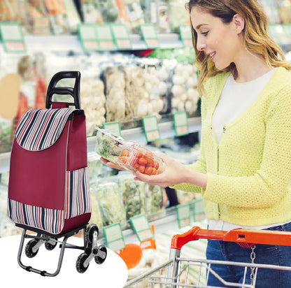 Přenosný skládací vozík s velkou nosností, vhodný pro stoupání po schodech