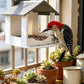 🦜Závěsné krmítko pro ptáky určené do venkovní zahrady