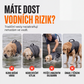 Plovací vesta pro domácí zvířata – zaručení bezpečnosti vašich mazlíčků