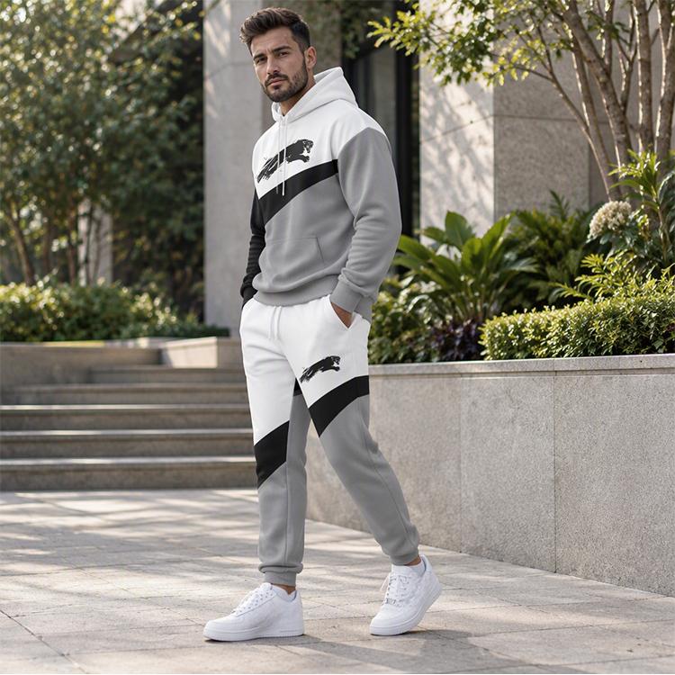 Men's Casual Sporty Hoodie and Sweatpants Set